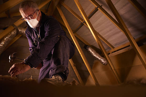 Best Residential Insulation in Wayland, IA